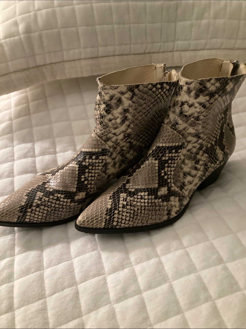 Steve Madden Beige & Black Snake-Print Pointed Ankle Booties. Size 7m